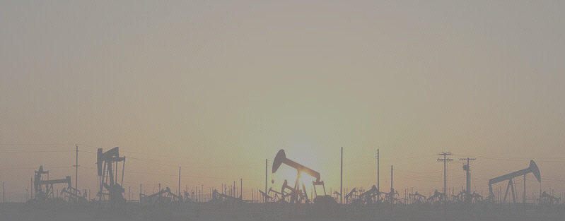 Oil field pumpjacks illustrating petroleum production — Petroleum Field Camp context