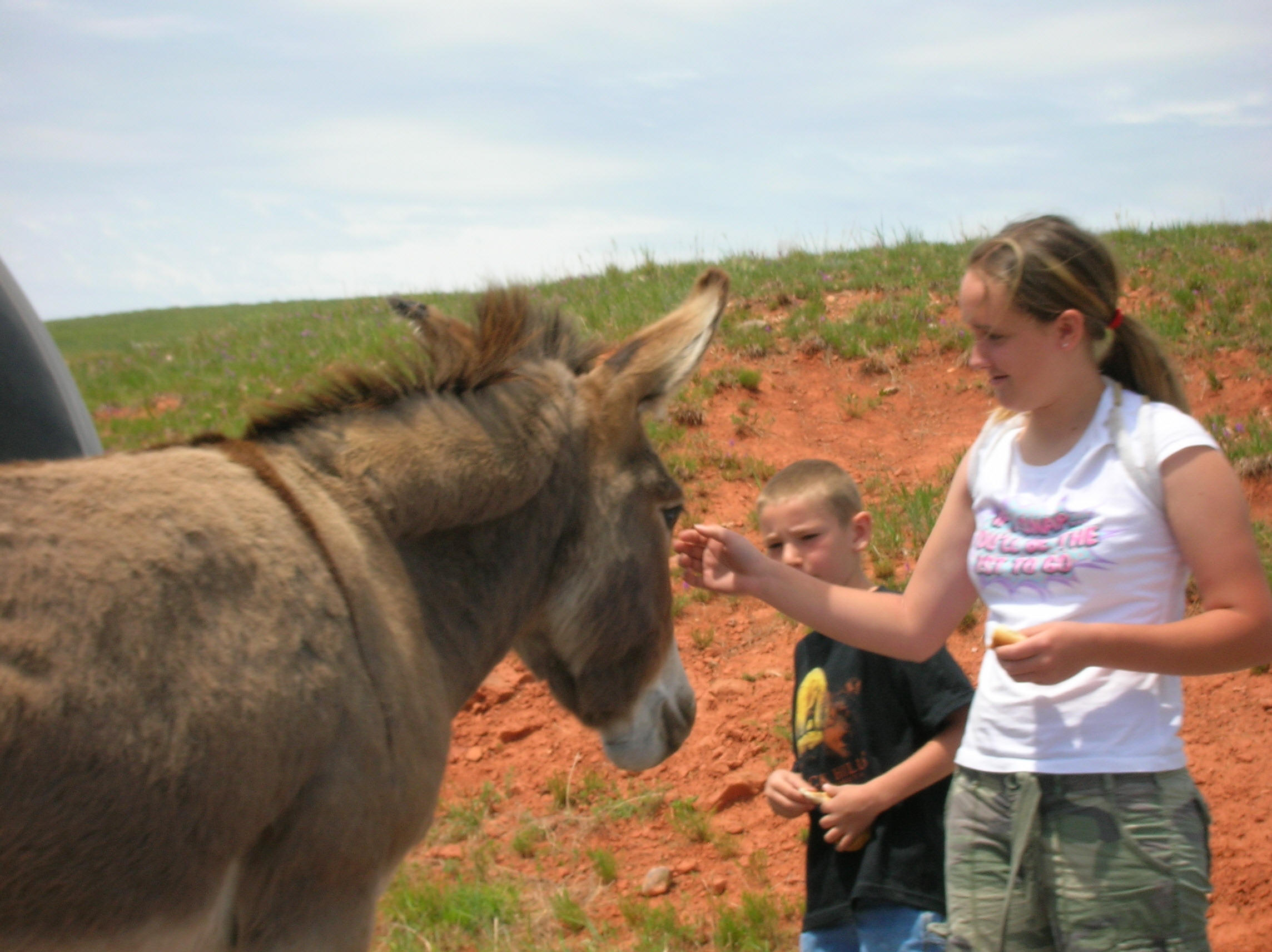 BHNSFS field station facility at Ranch A headquarters