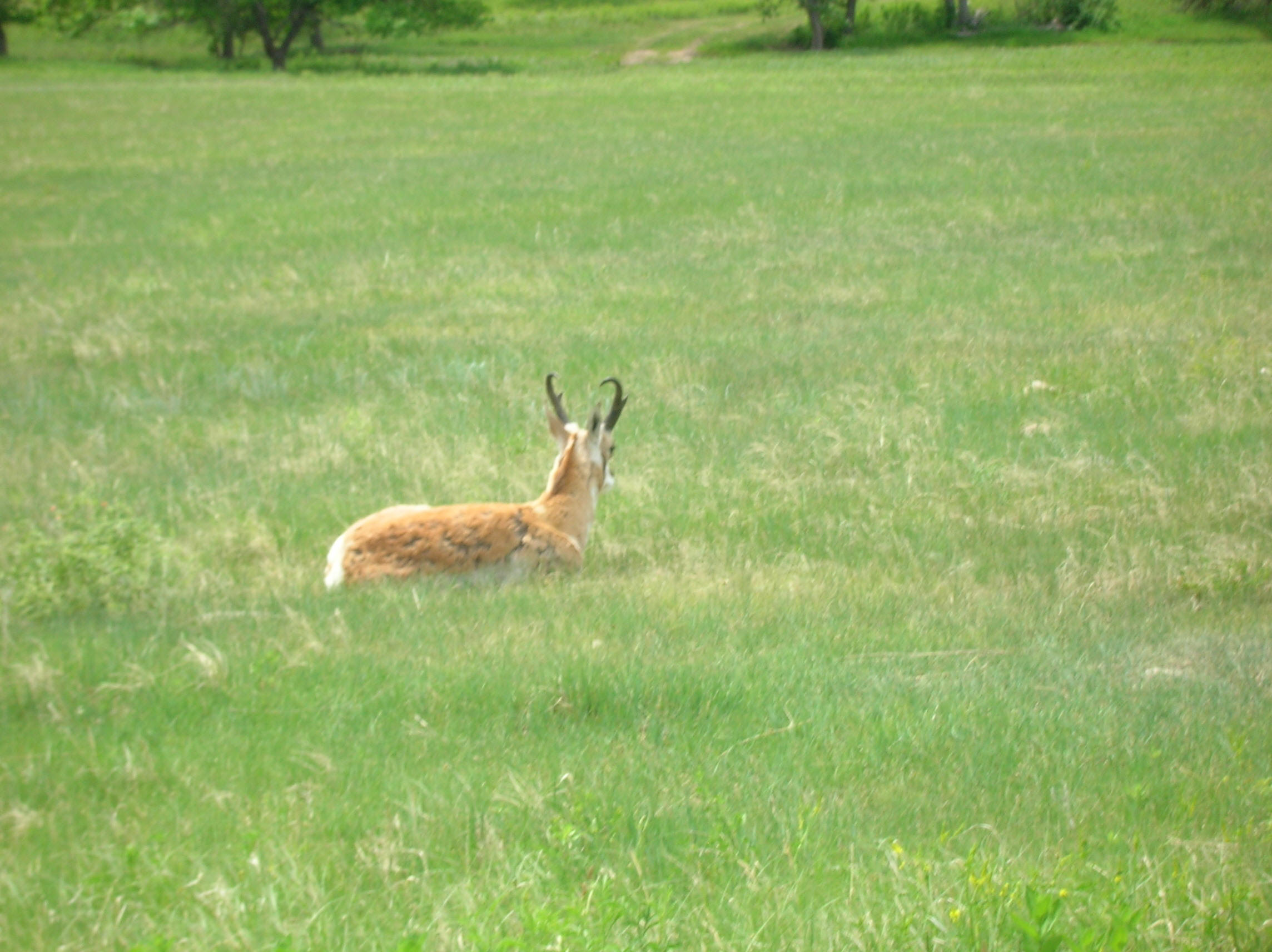 Students gathered at Ranch A during field camp session