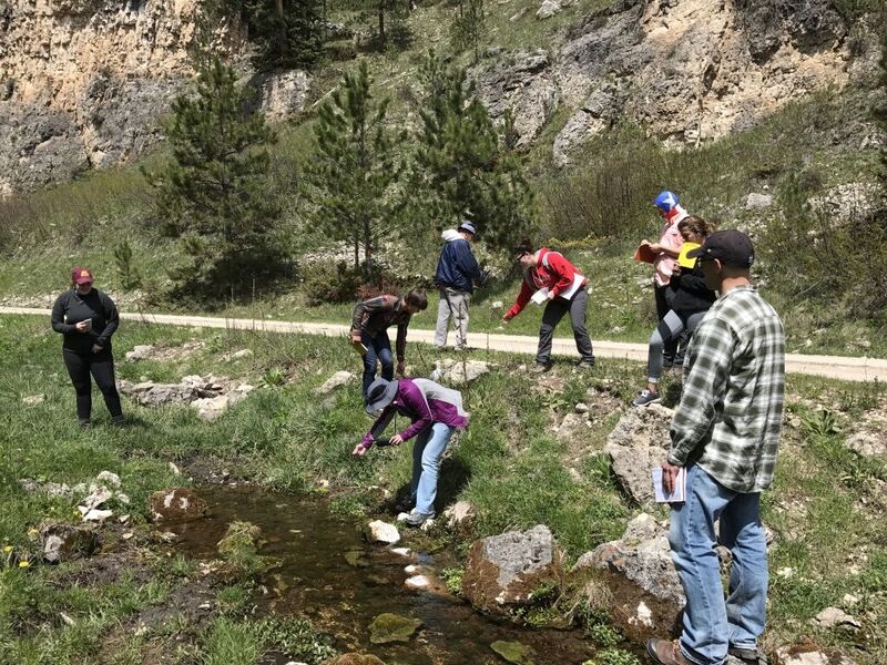 Students measuring pH levels at South Fork Creek during environmental hydrology field camp