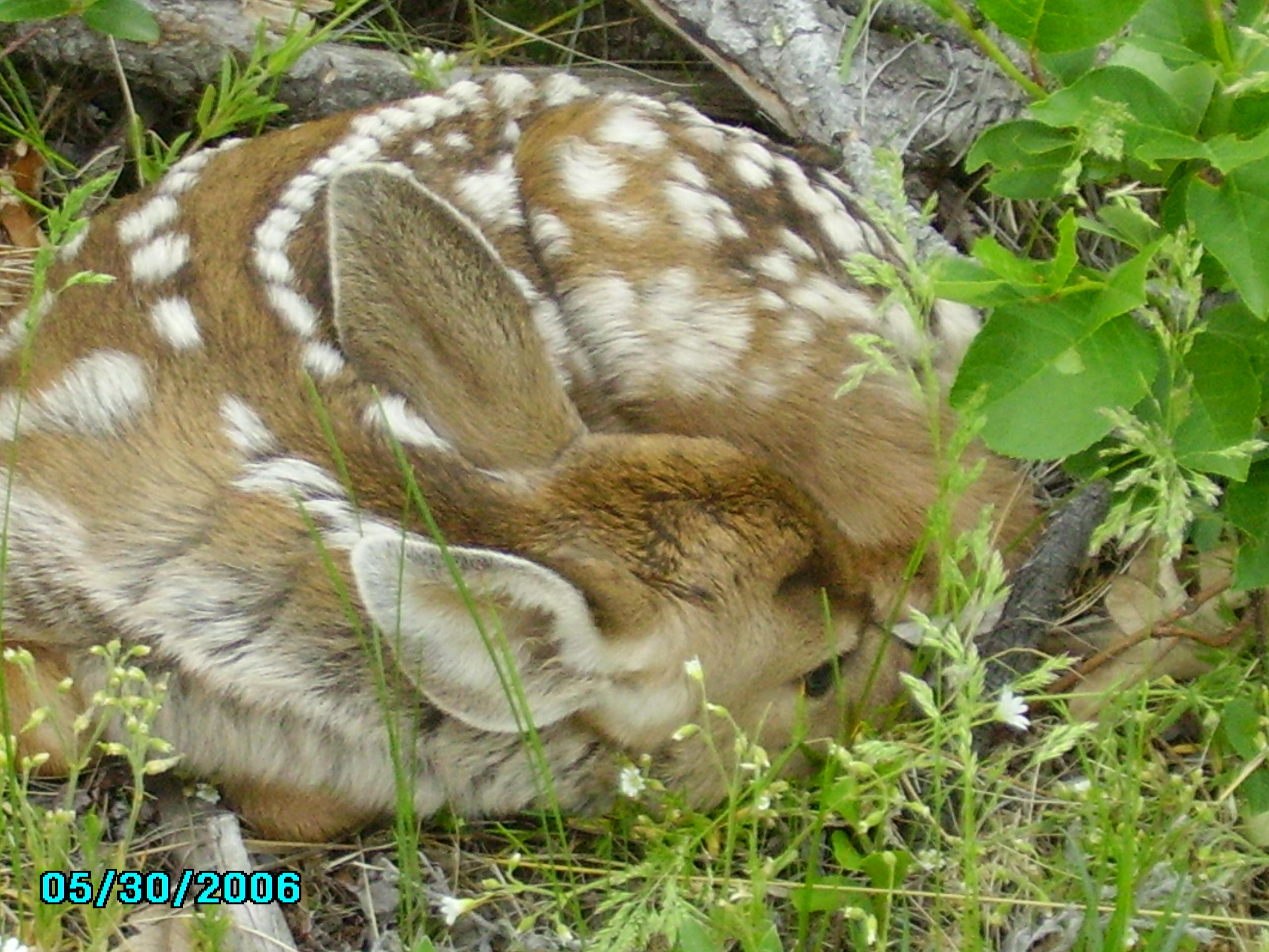 Students at geologic field site near Ranch A headquarters