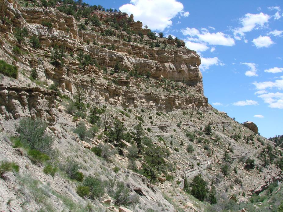Students mapping fluvial and lacustrine deposits in the Uinta Basin, Utah