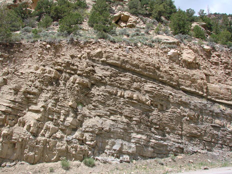 Field camp participants at a canyon outcrop in the Utah study area