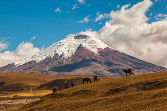 Students mapping Cotopaxi ignimbrites and lava flows during the Ecuador Field Camp