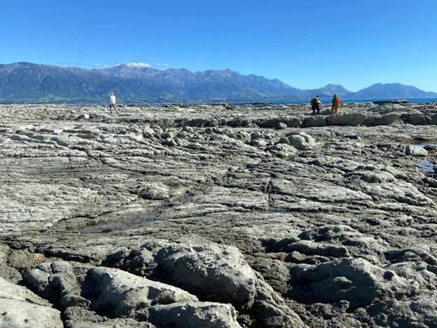 Geological formations on New Zealand's South Island — New Zealand Field Camp