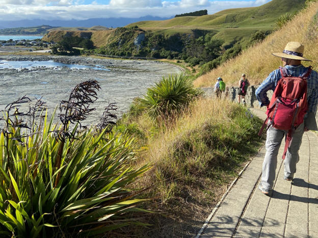 Field camp students examining sedimentary sequences in New Zealand