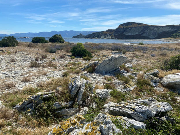 Alpine terrain during the New Zealand Field Camp, South Island
