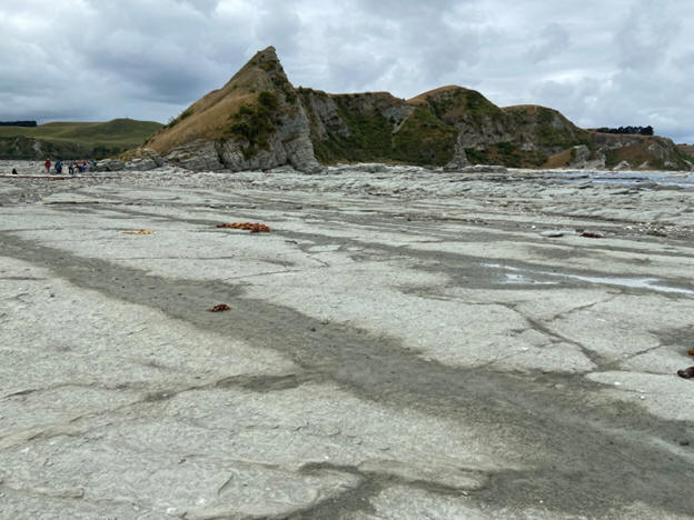Students at a geological outcrop during the New Zealand Field Camp