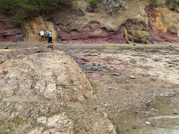 Coastal geology examined during the New Zealand Field Camp