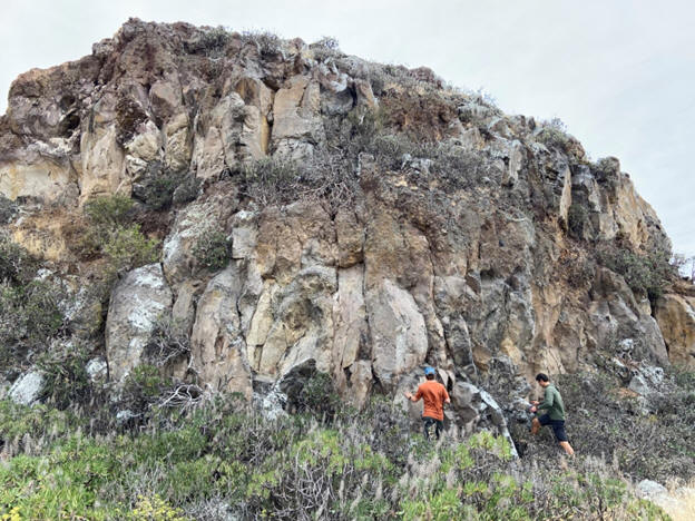 Students in the field during the New Zealand Geology Field Camp