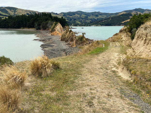 Rock outcrop features studied during the New Zealand Field Camp